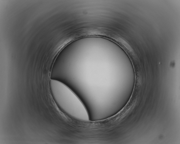X0000097590793200802290748