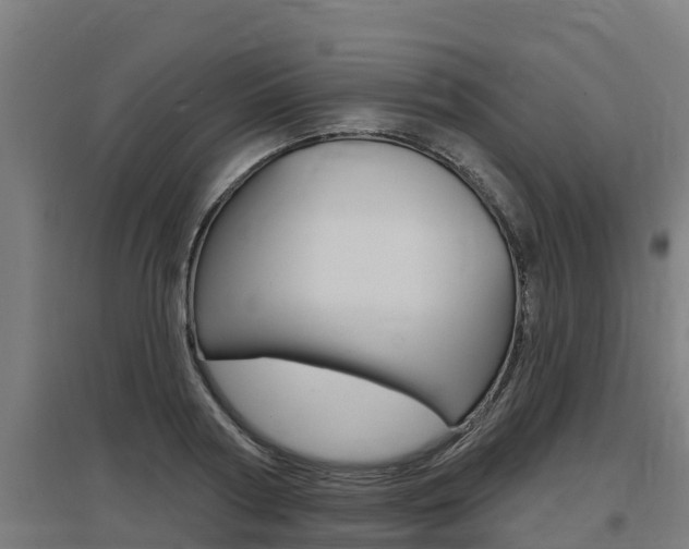 X0000097590794200802290748