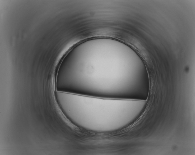 X0000097590796200802290748