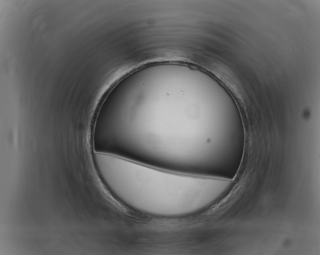 X0000097590797200802290748