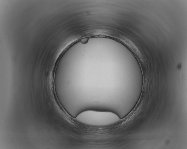 X0000097590798200802290748