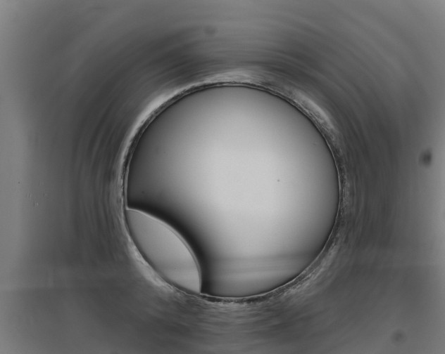 X0000097590800200802290748