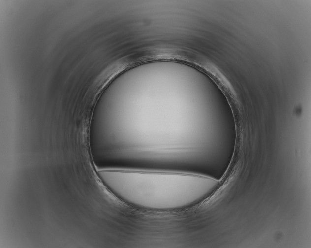 X0000097590801200802290748