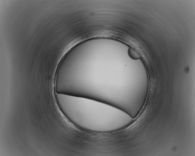 X0000097590802200802290748
