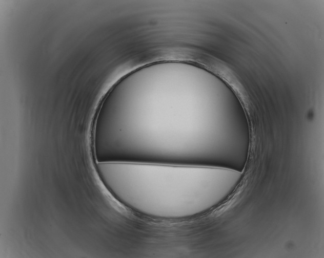 X0000097590803200802290748