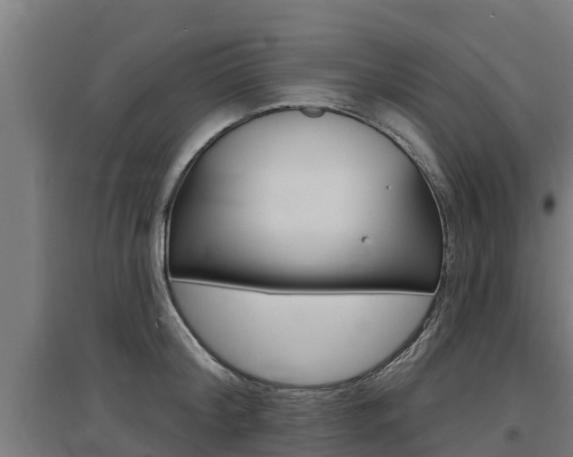 X0000097590804200802290748