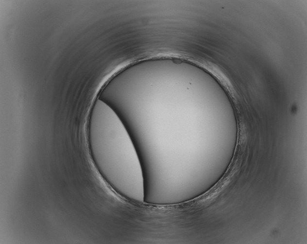 X0000097590806200802290748