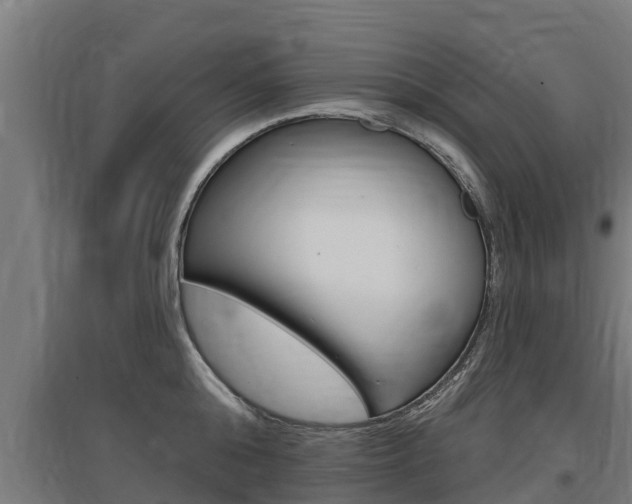 X0000097590808200802290748
