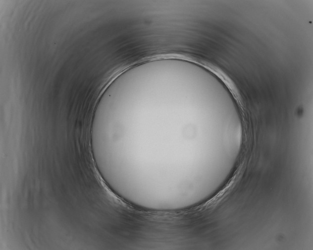 X0000097590809200802290748