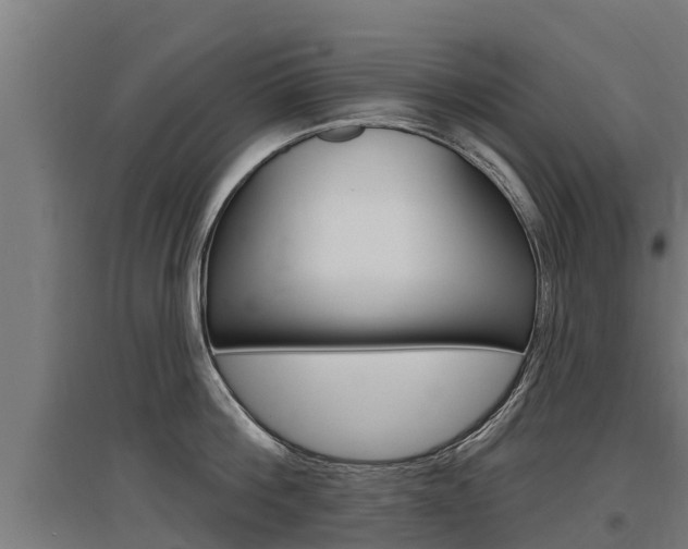 X0000097590812200802290748