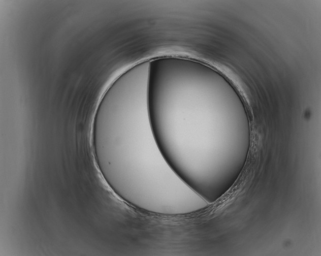 X0000097590815200802290748