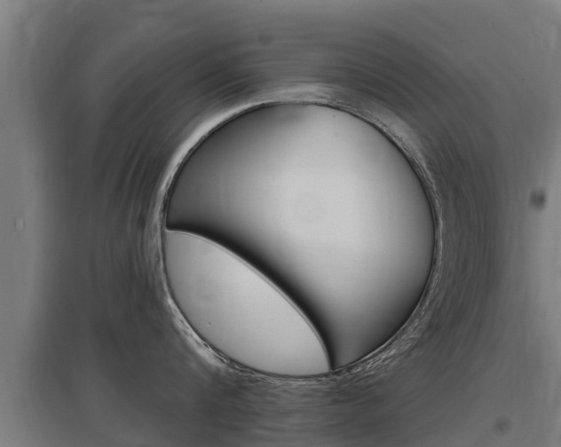 X0000097590816200802290748