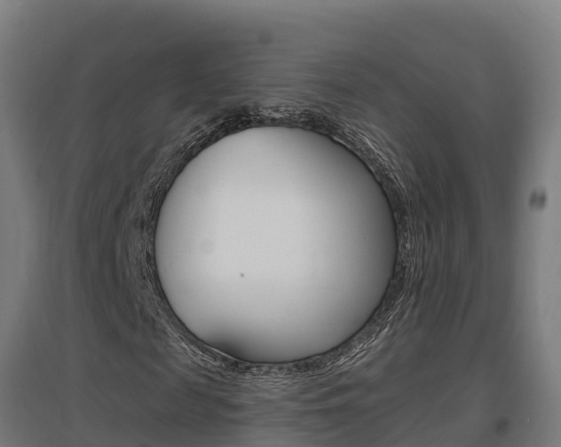 X0000097590817200802290747