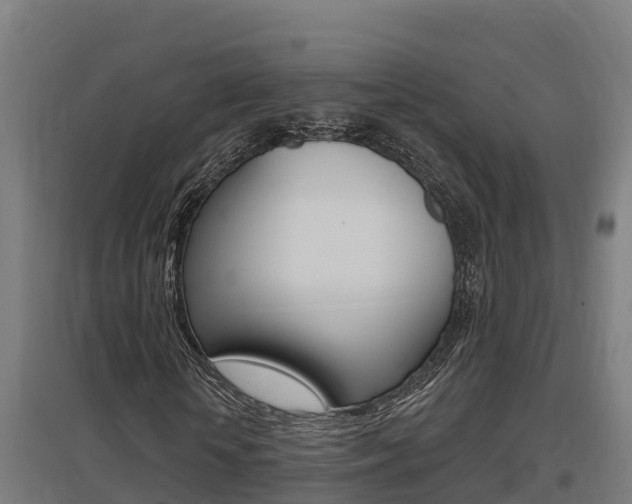 X0000097590818200802290747