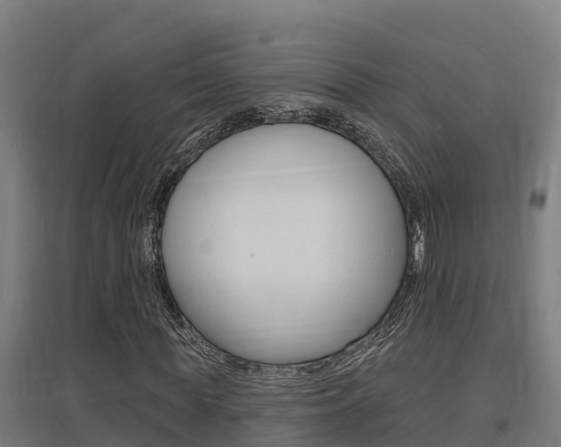 X0000097590819200802290747