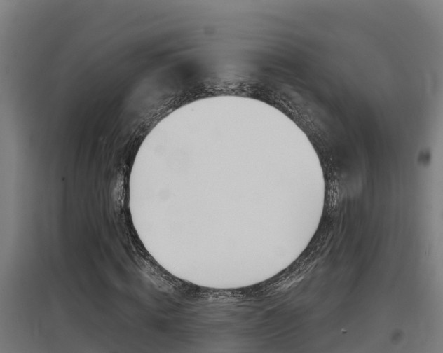 X0000097590820200802290747