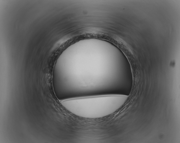 X0000097590822200802290747
