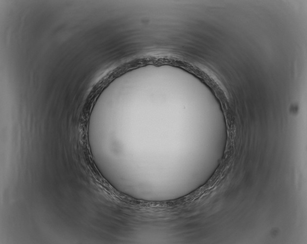 X0000097590823200802290747
