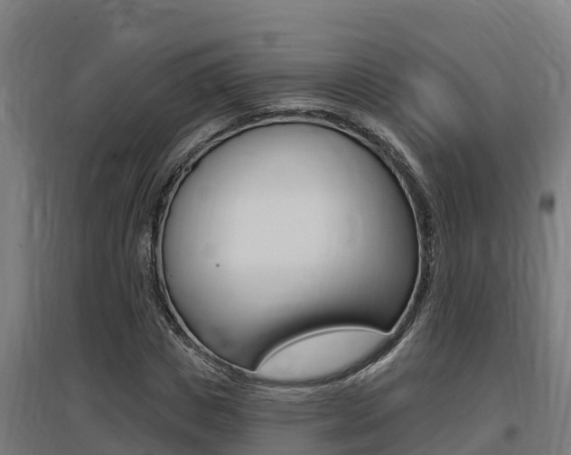 X0000097590825200802290747