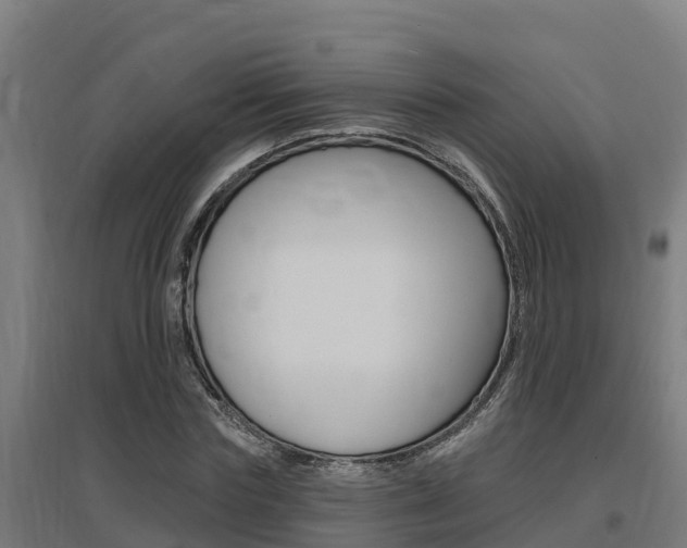 X0000097590827200802290747