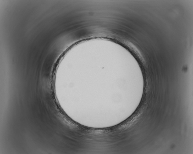 X0000097590828200802290747