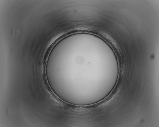 X0000097590829200802290747