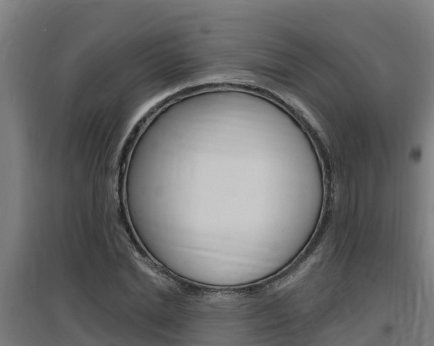 X0000097590830200802290747