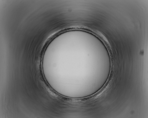 X0000097590831200802290747