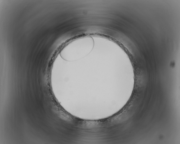 X0000097590832200802290747