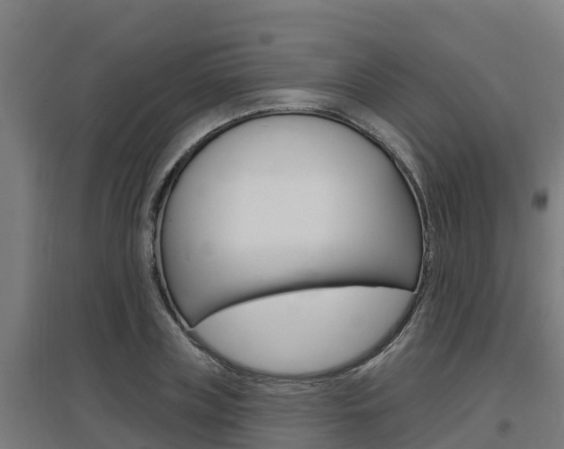 X0000097590835200802290747