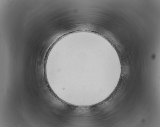 X0000097590836200802290747