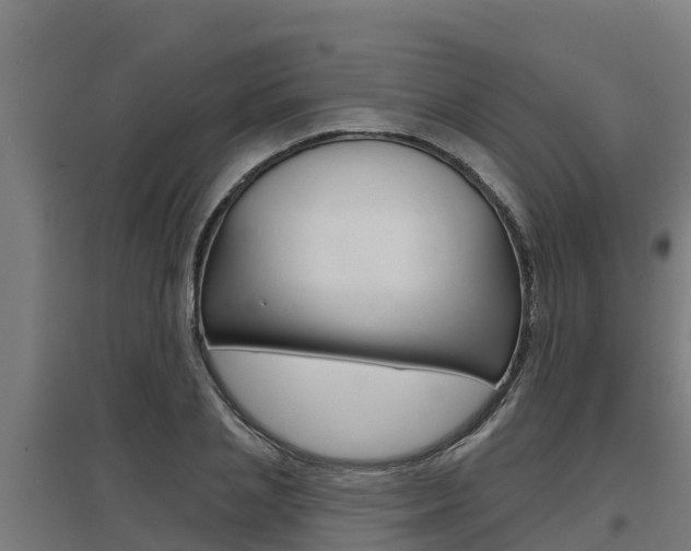 X0000097590837200802290747