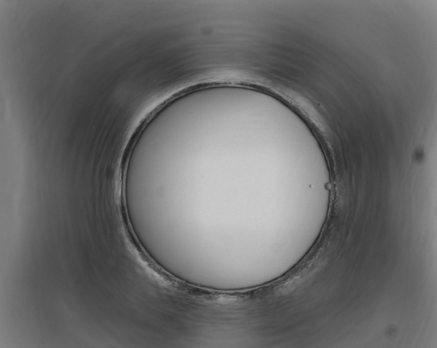 X0000097590839200802290747