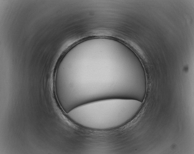 X0000097590840200802290747