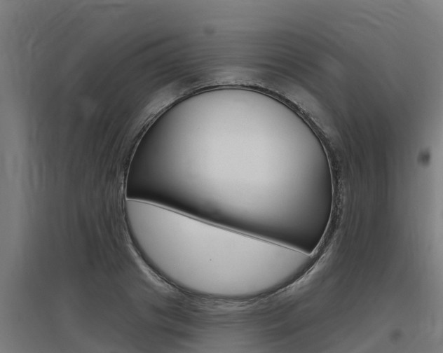 X0000097590841200802290747