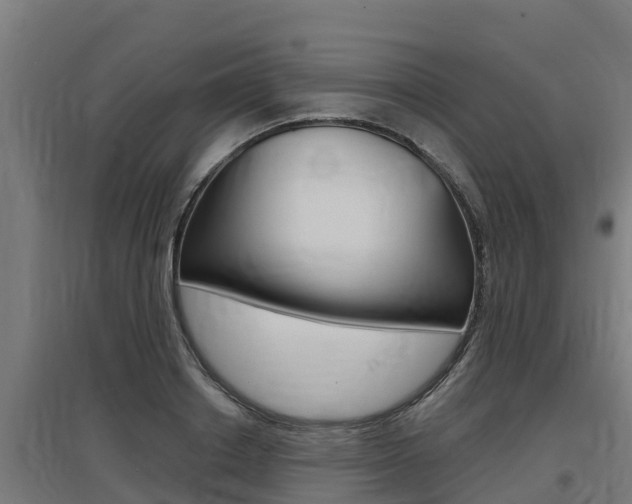 X0000097590842200802290747