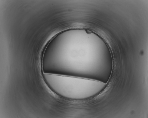 X0000097590843200802290747