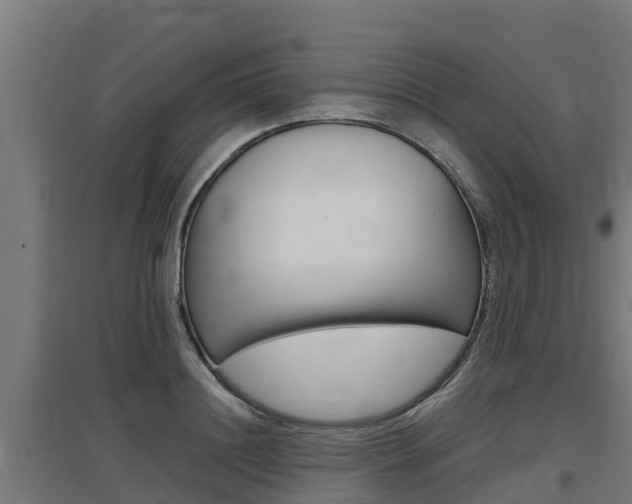 X0000097590844200802290747