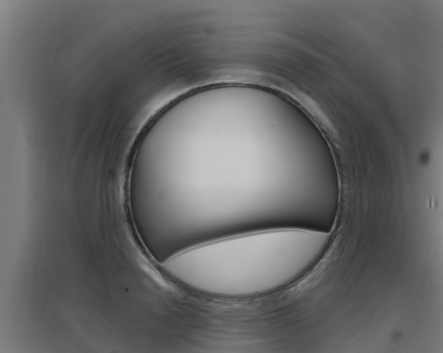 X0000097590846200802290747