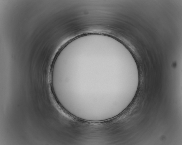 X0000097590848200802290748