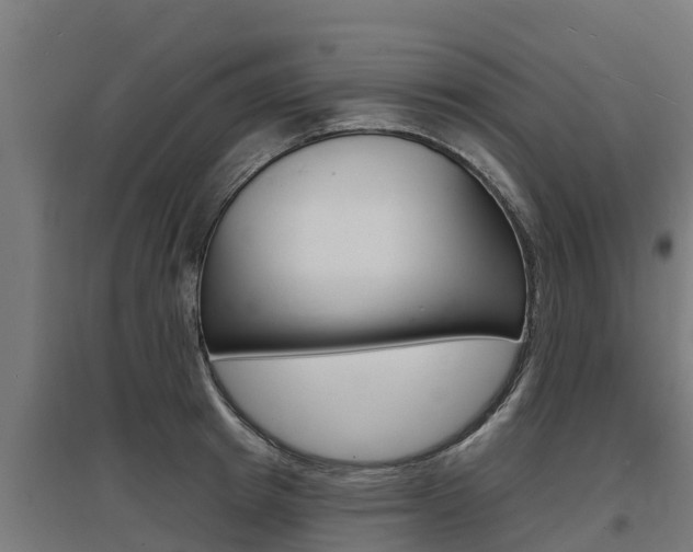X0000097590849200802290748