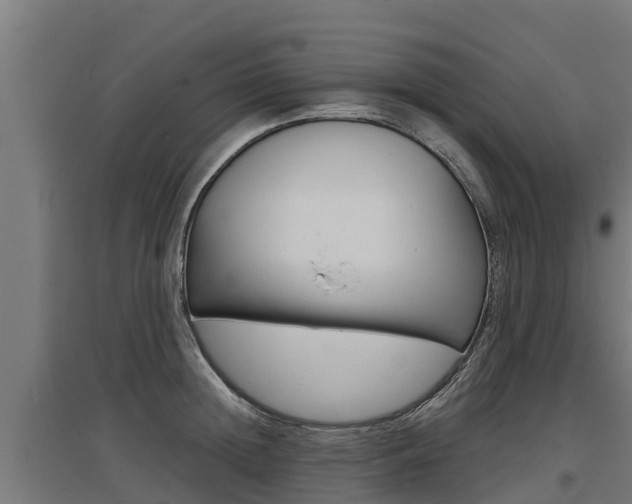 X0000097590852200802290748