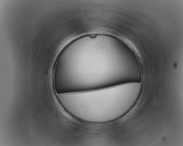 X0000097590854200802290748