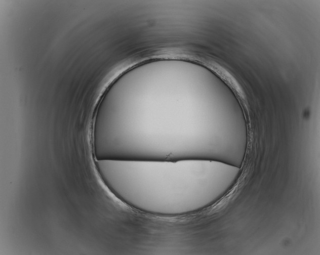 X0000097590855200802290748