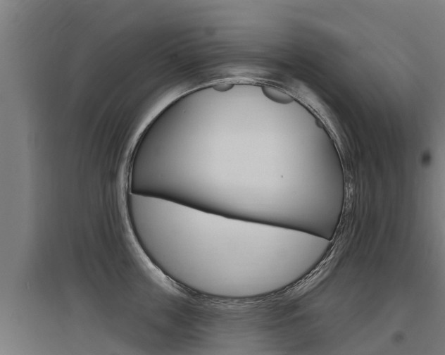 X0000097590859200802290748