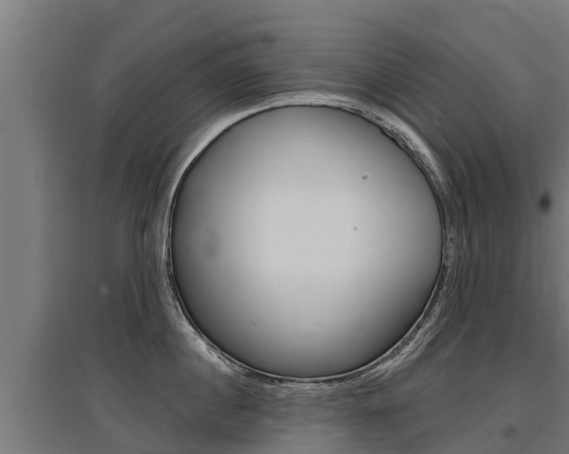 X0000097590860200802290748