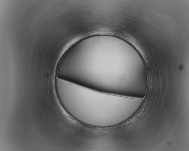 X0000097590861200802290748