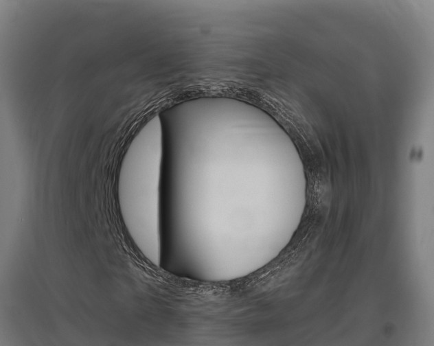 X0000097590865200802290747