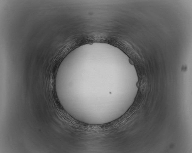 X0000097590866200802290747