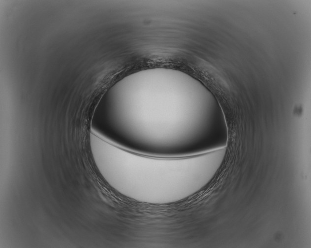 X0000097590868200802290747